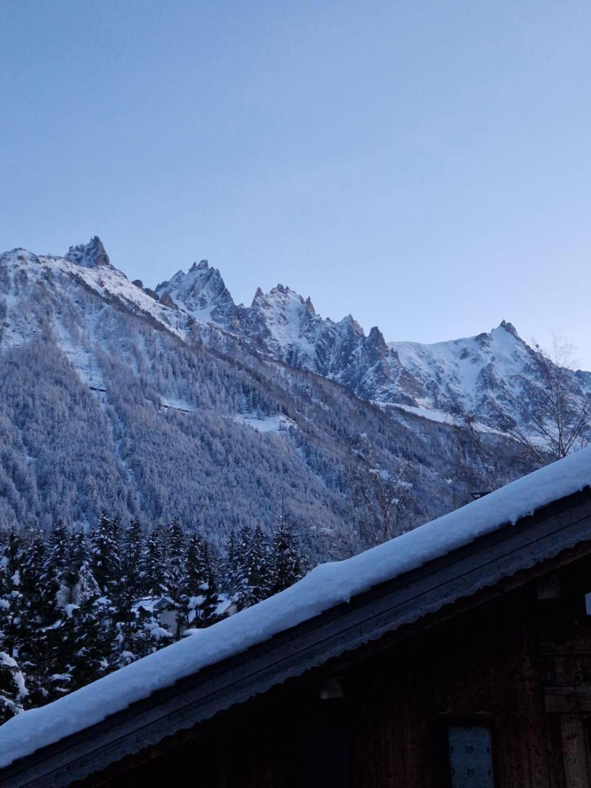 Appartement ensoleillé aux Tines, vue Massif Chamonix Mont Blanc Exterior foto